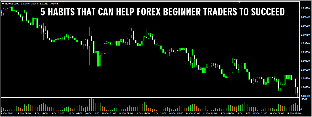 5 Habits That Can Help Forex Beginner Traders To Succeed