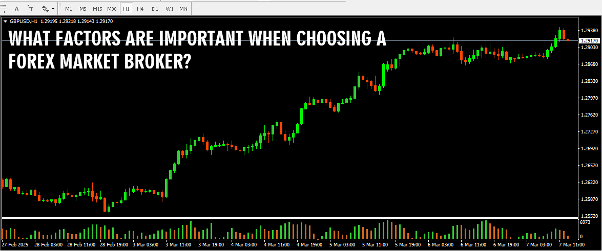 What Factors Are Important When Choosing A Forex Market Broker?